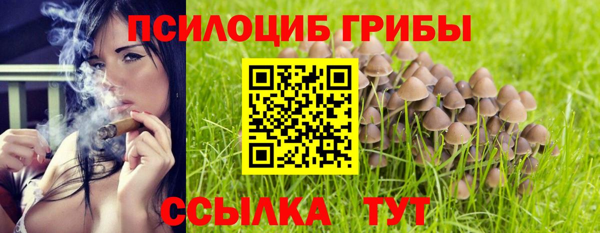 Галлюциногенные грибы прущие грибы Полевской