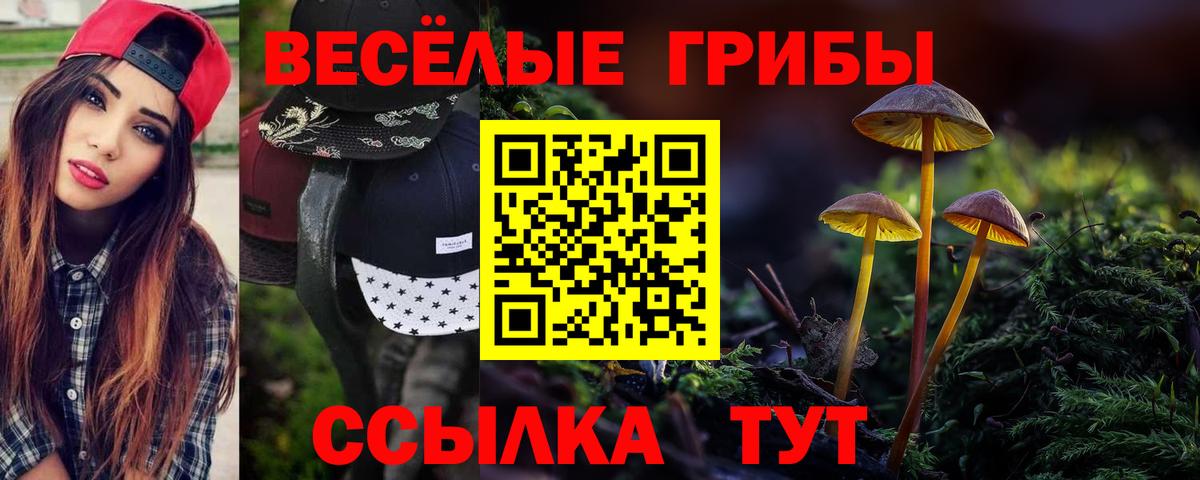 Псилоцибиновые грибы Magic Shrooms  Псилоцибиновые грибы Cubensis  Вход с VPN  Полевской 